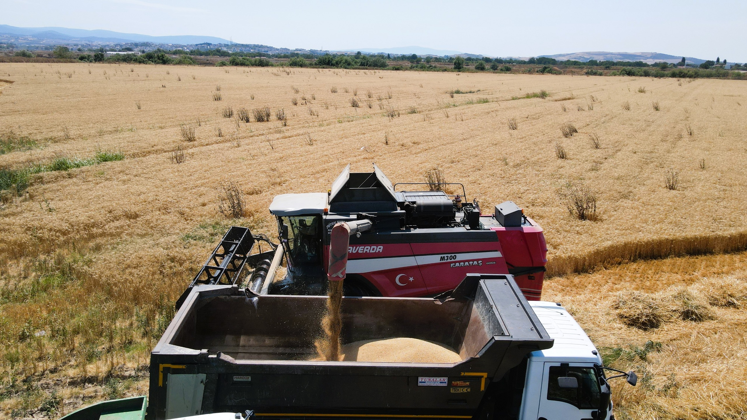 Mustafakemalpaşa’da Buğday Hasadı Başladı (5)