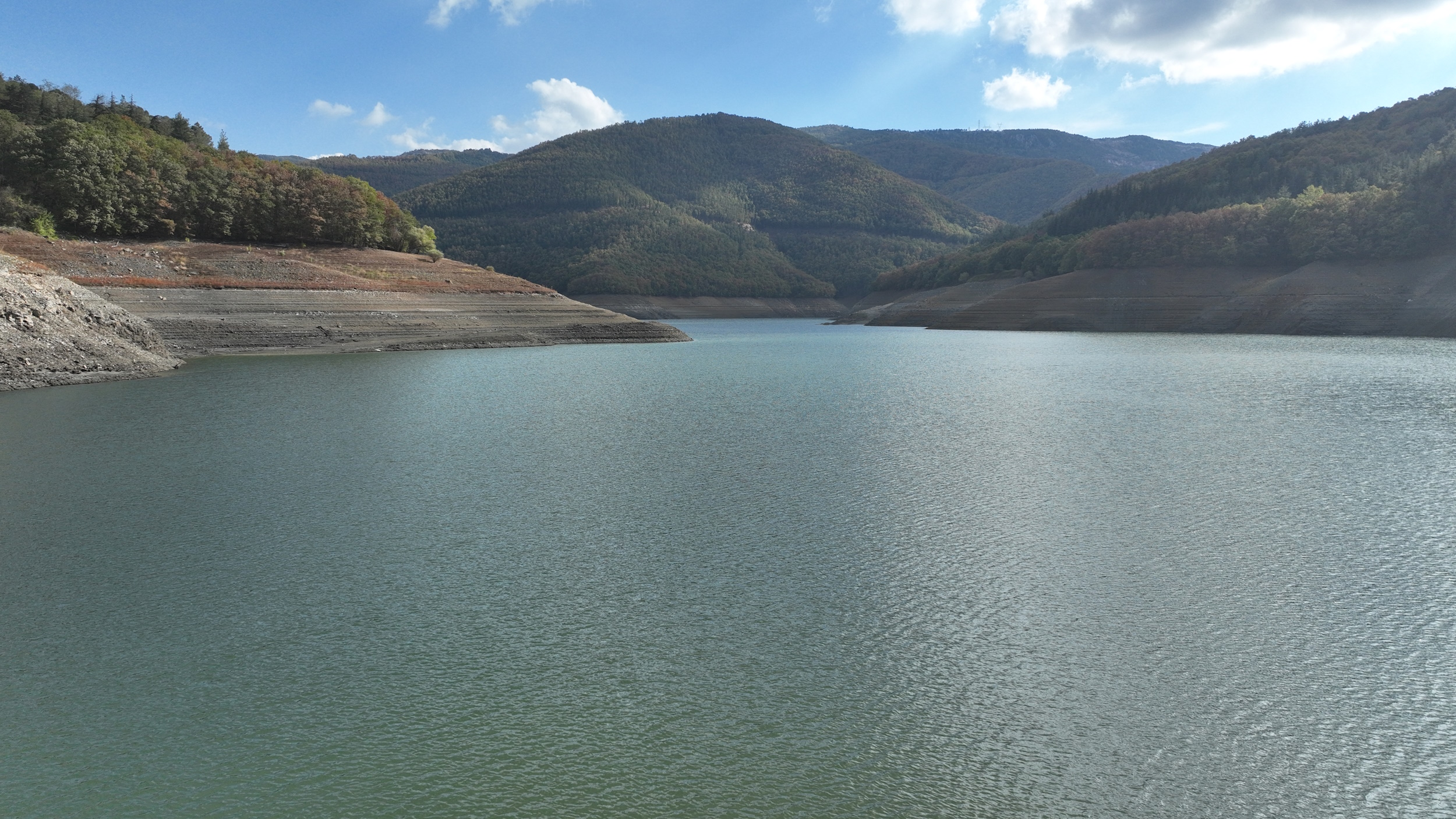 36299 M T Y5 M D M3 Nm