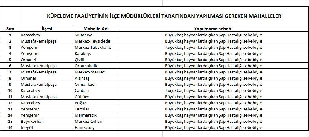 571640119 10166740699147580 877903704505713176 N