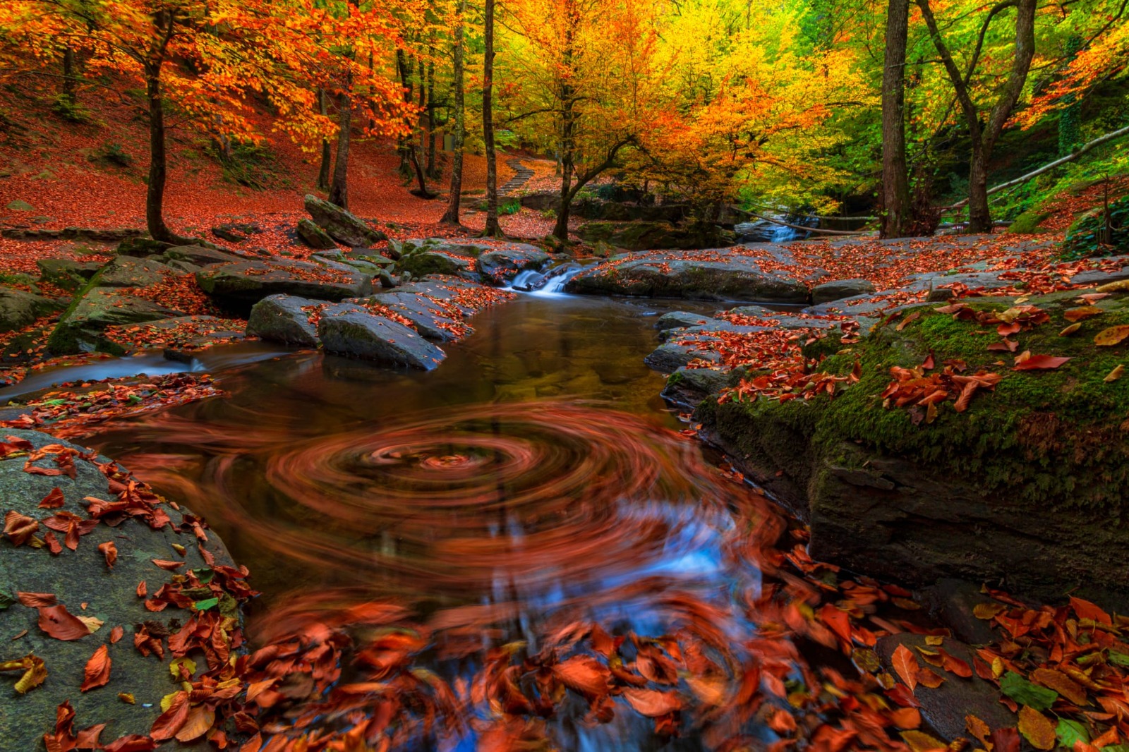 Whatsapp Image 2025 10 31 At 14.52.30 (1)