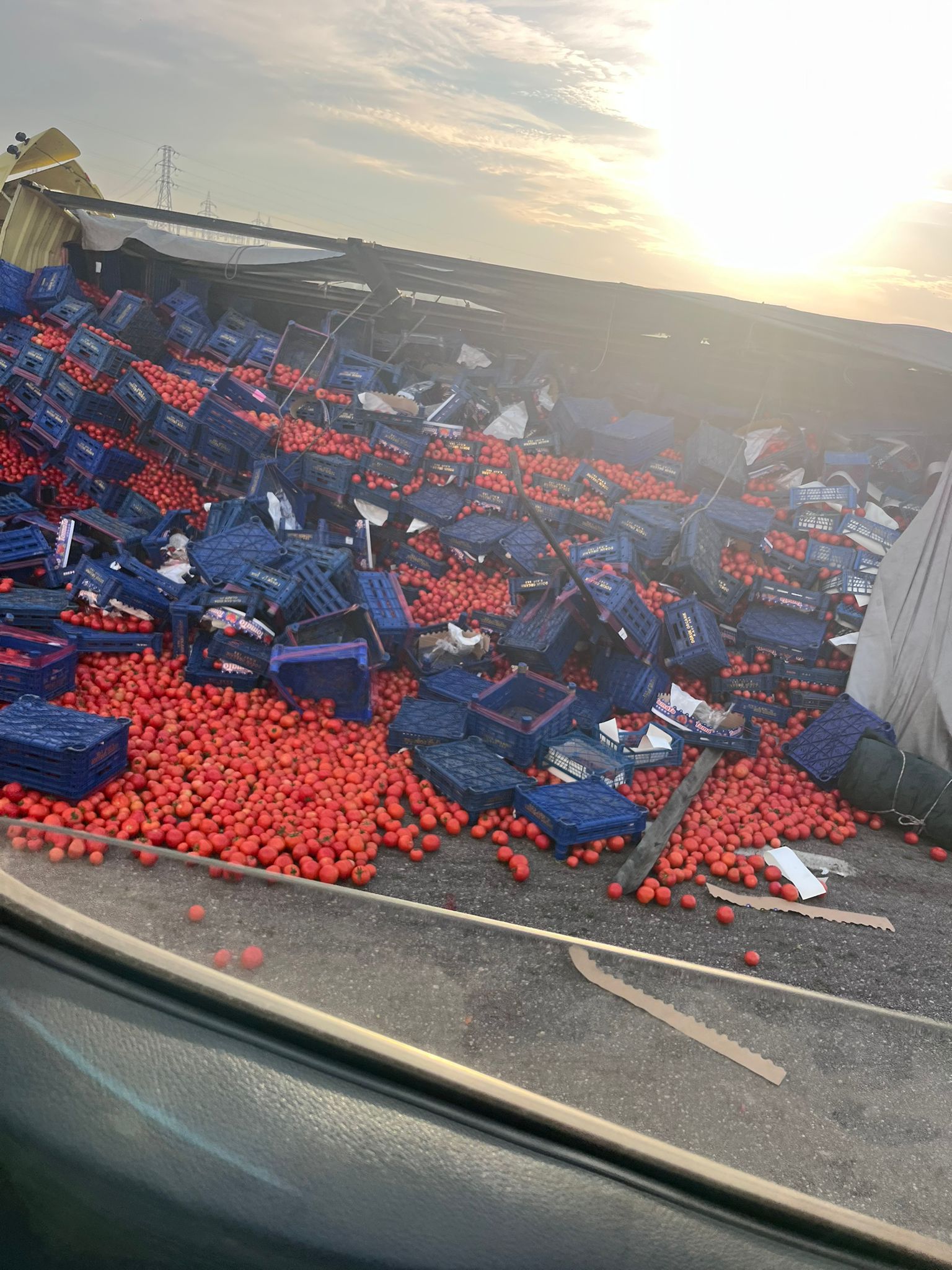 Whatsapp Image 2025 11 10 At 10.01.56