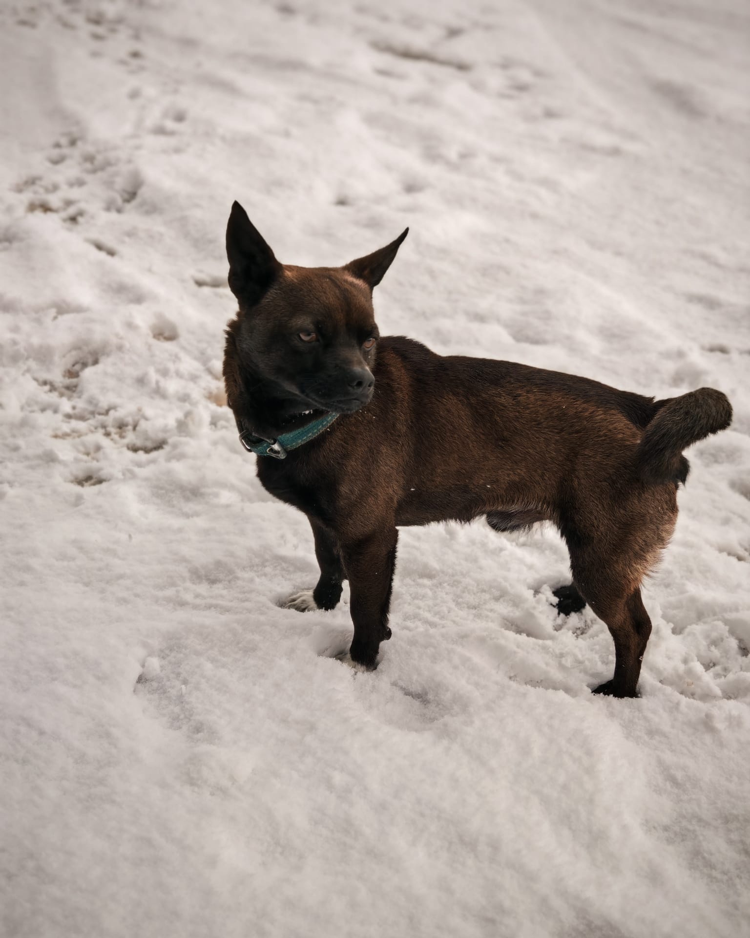 Whatsapp Image 2025 11 04 At 12.30.36 (1)