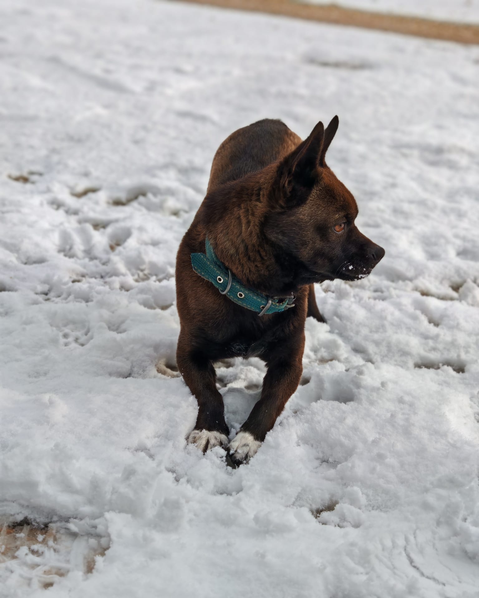 Whatsapp Image 2025 11 04 At 12.30.36 (2)