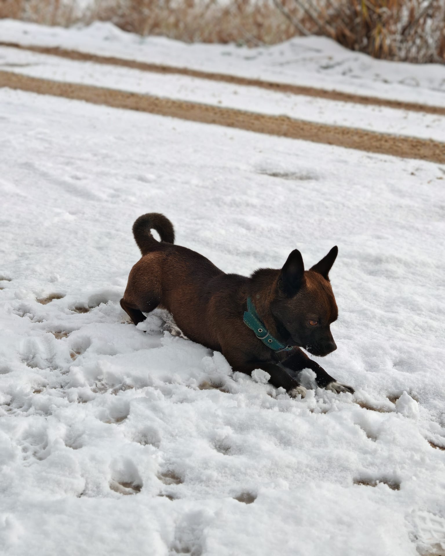 Whatsapp Image 2025 11 04 At 12.30.36