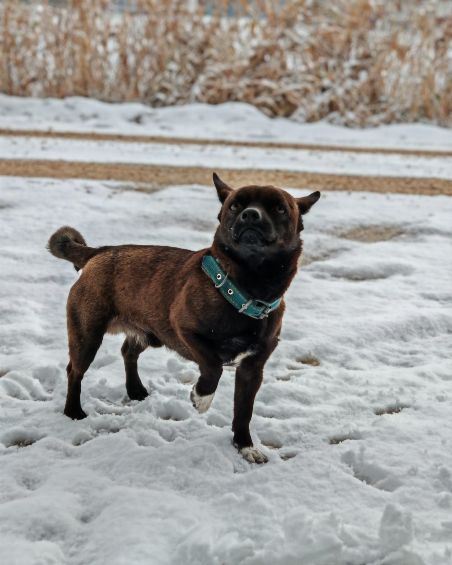 Whatsapp Image 2025 11 04 At 12.30.37