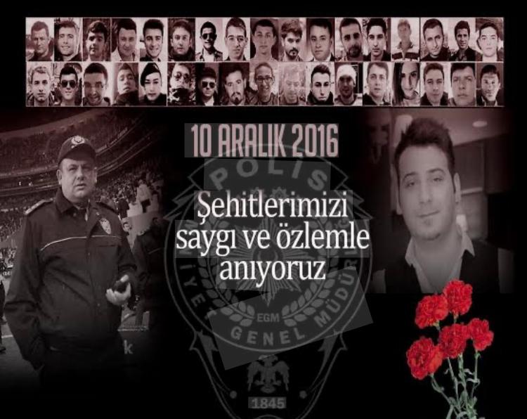 I M G 20251126 W A0015-1