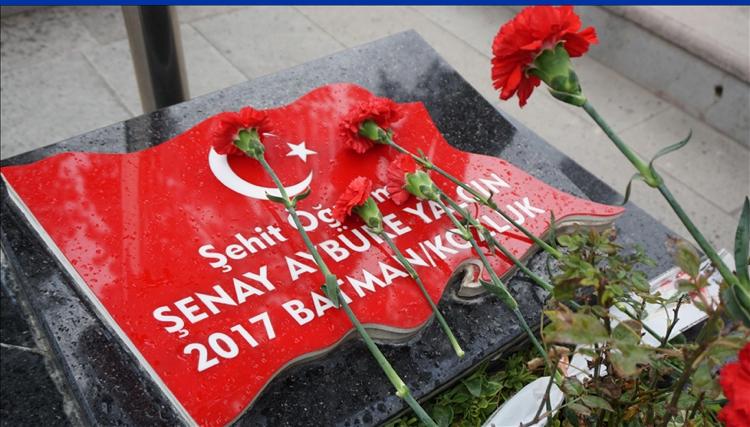 I M G 20251126 W A0022