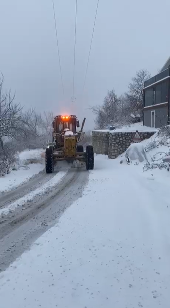 36540 M T Y5 N T Bl Nj 1