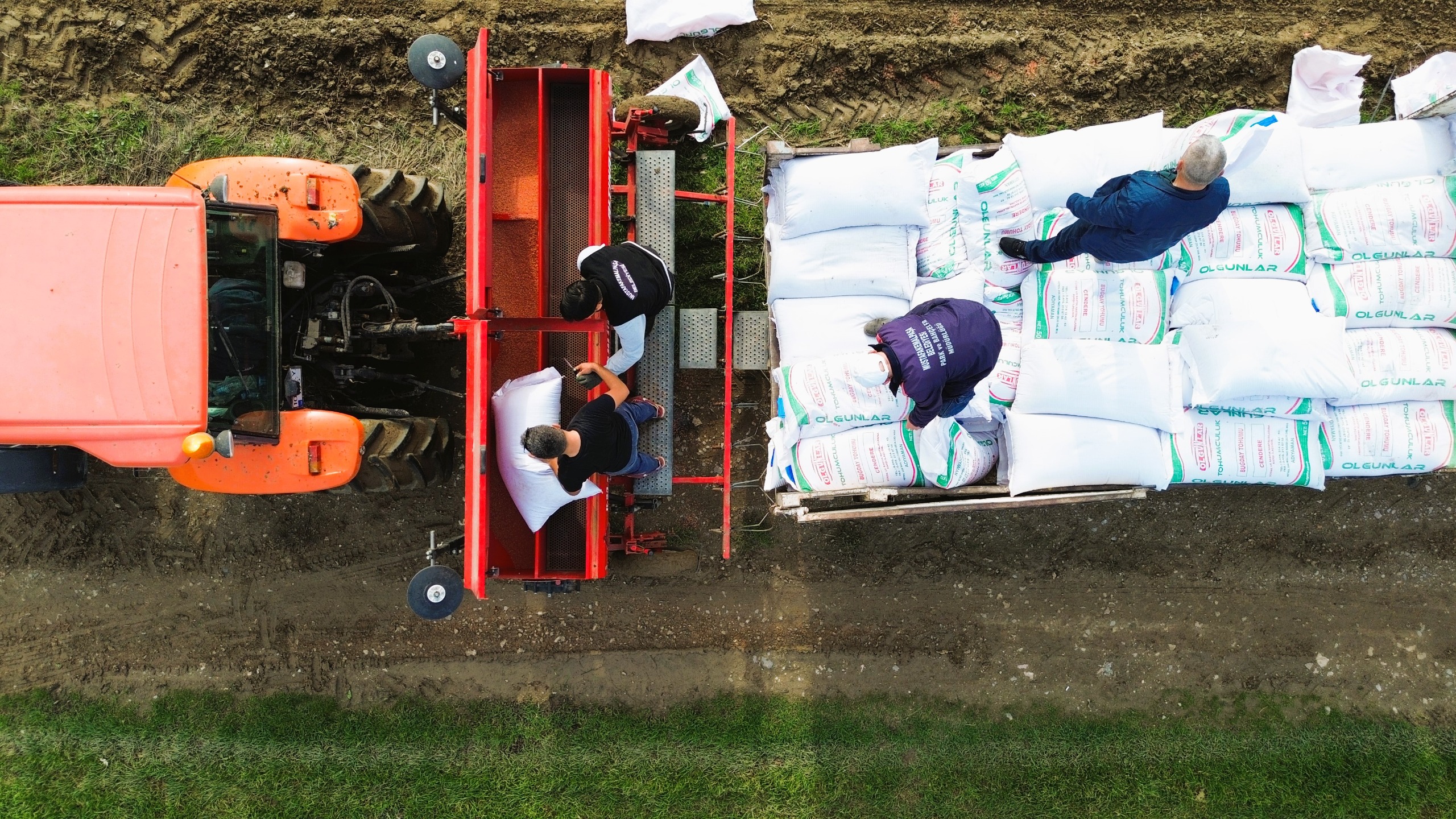 Mustafakemalpaşa’da Cendere Buğdayi Toprakla Buluştu (7)