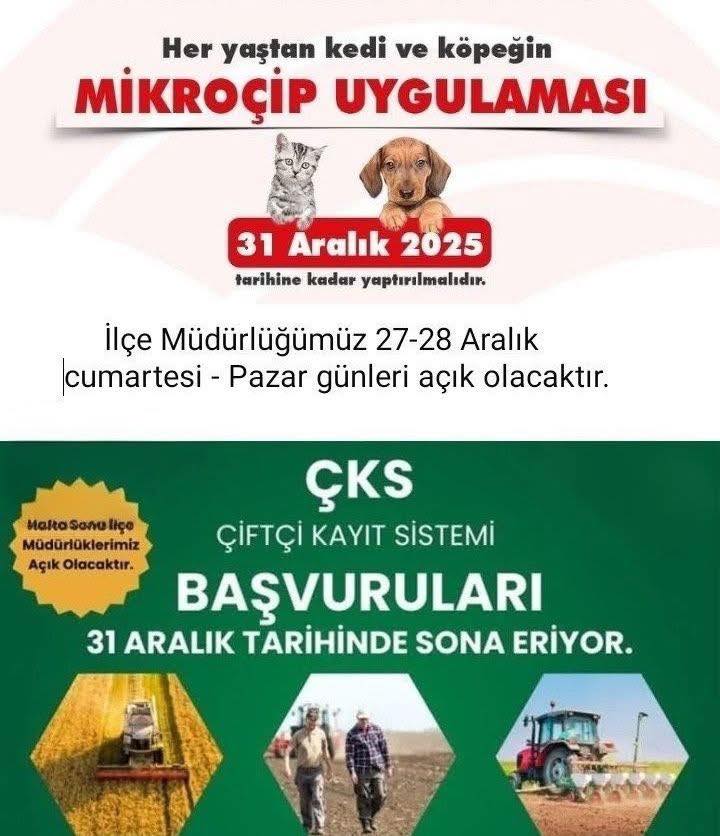 605713027 1940747013528549 2709975736649784348 N