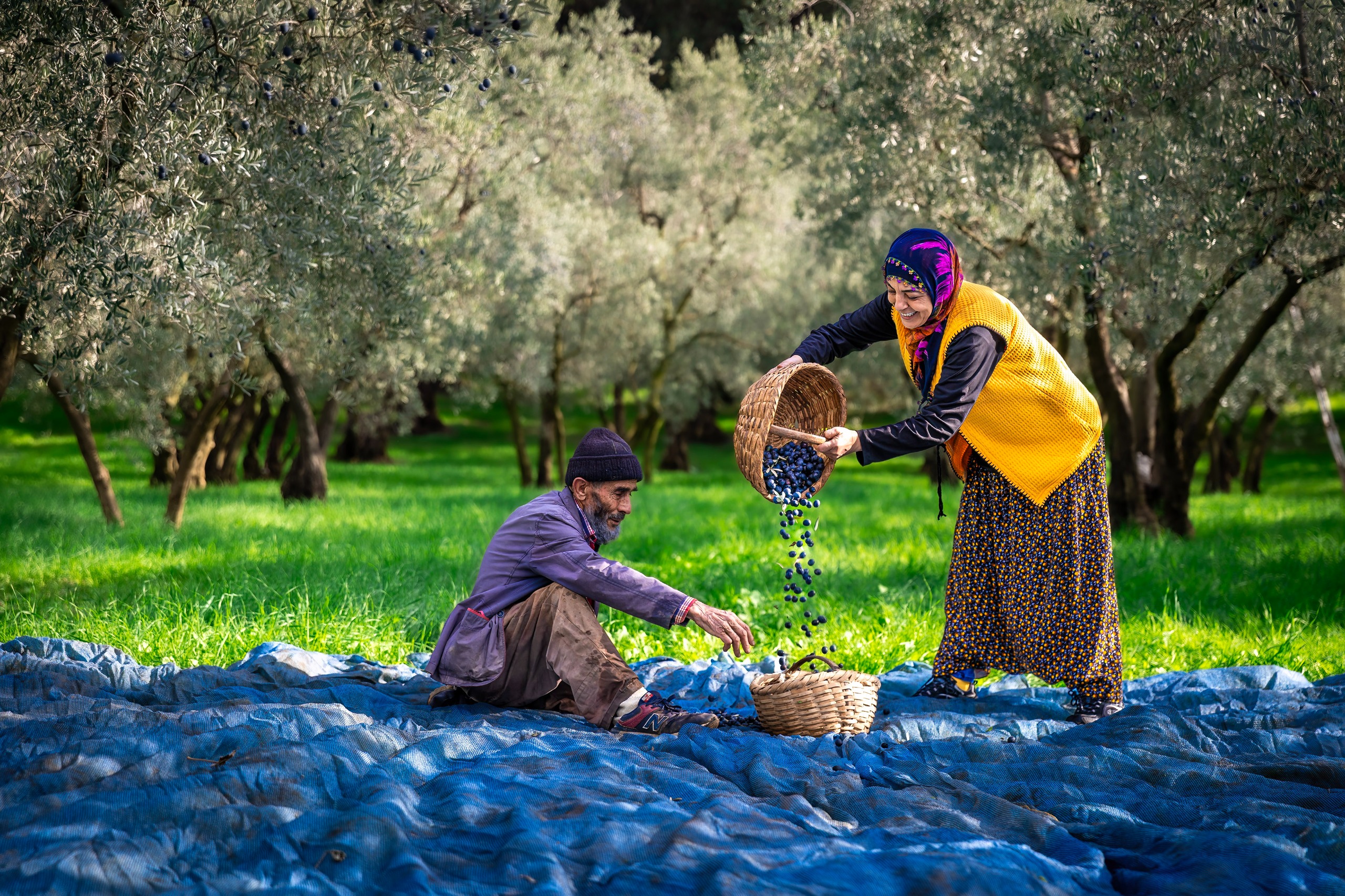 45668Ea0 D93C 4220 B744 Ae5Fcc56117E 1