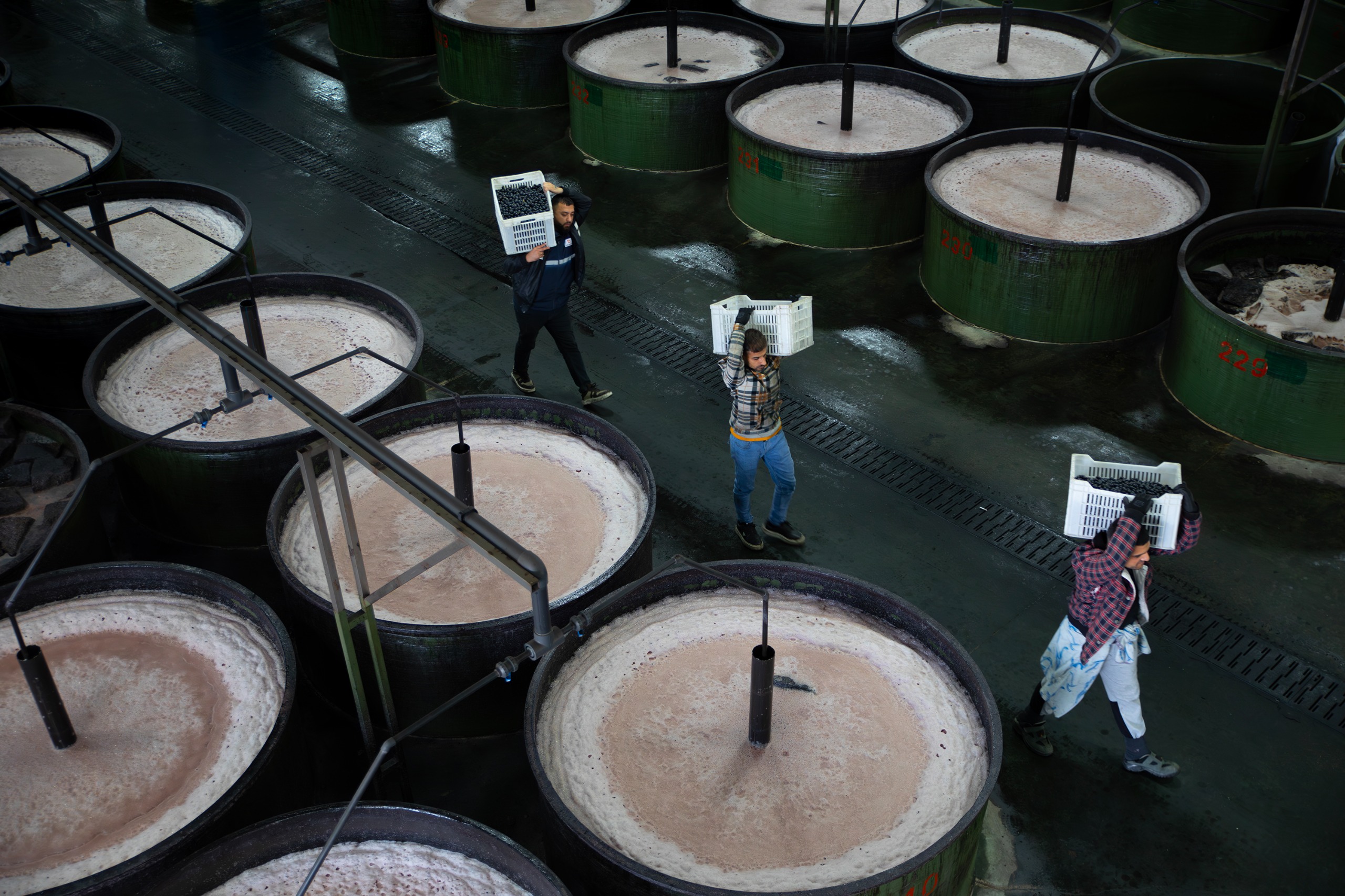 561B1Beb 083A 44A2 B643 91Ec65A1898C 5