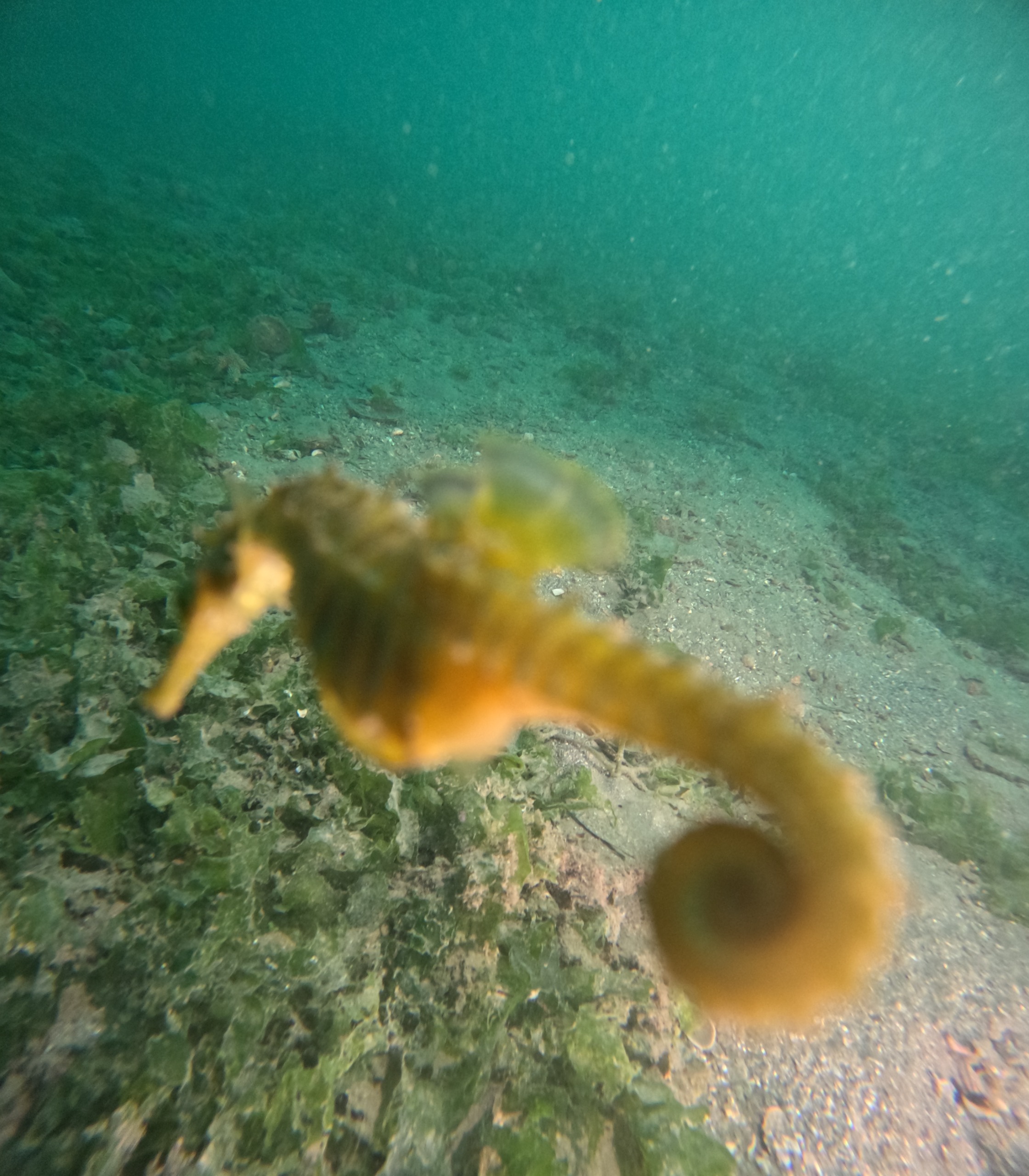 36424 M T Y5 Mm Q1 O T 11