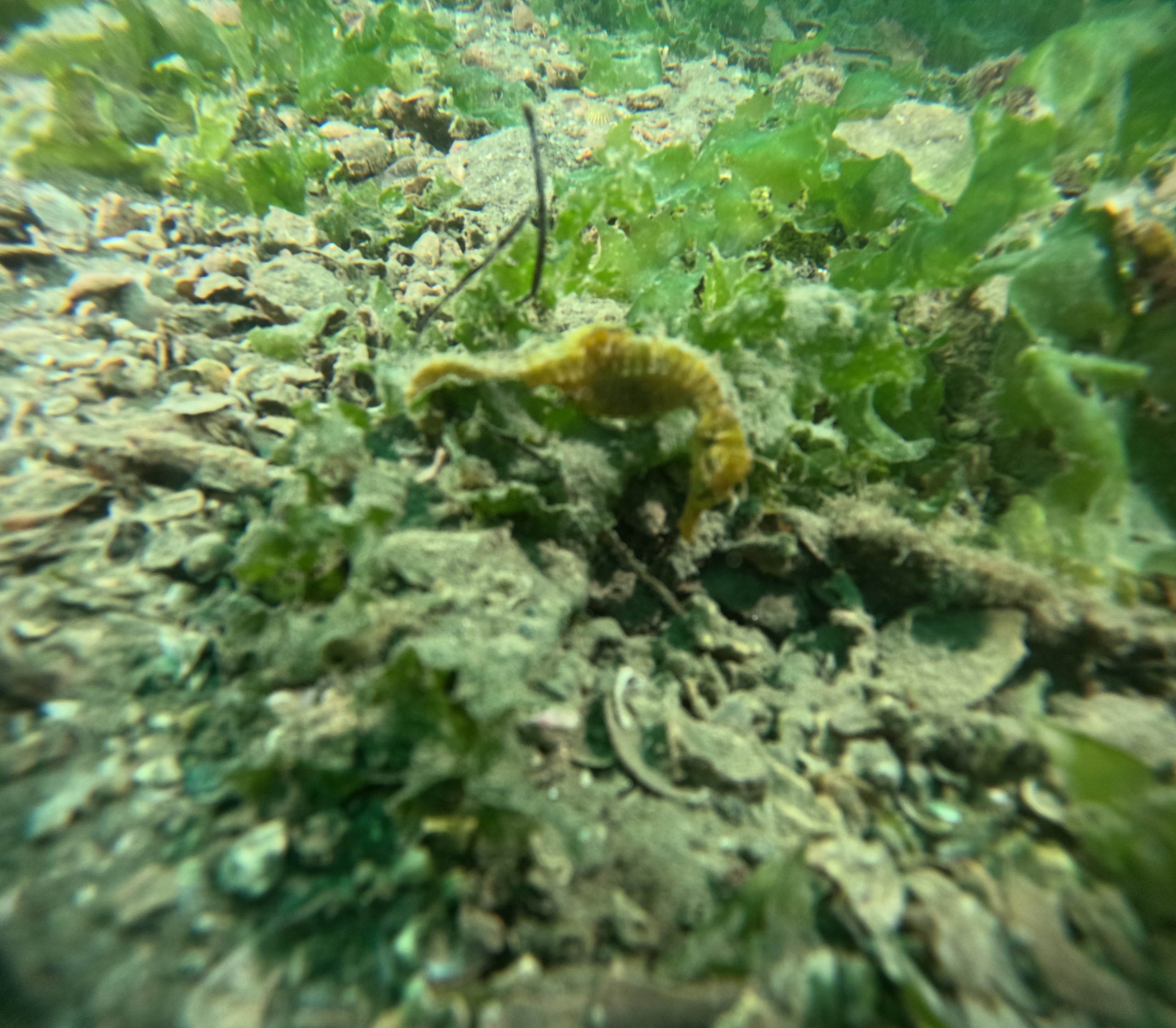 36424 M T Y5 Mm Q1 O T 12