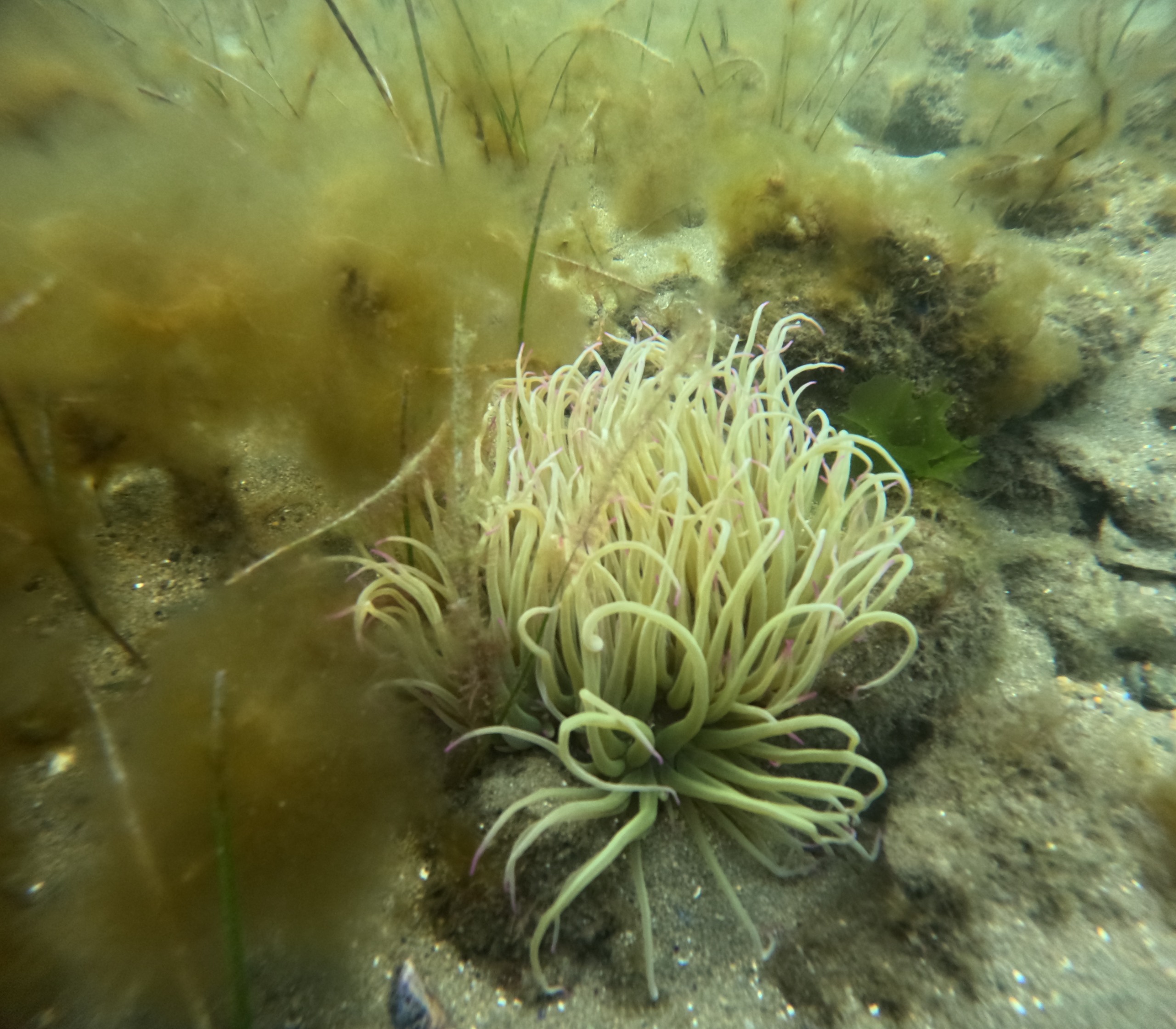 36424 M T Y5 Mm Q1 O T 13