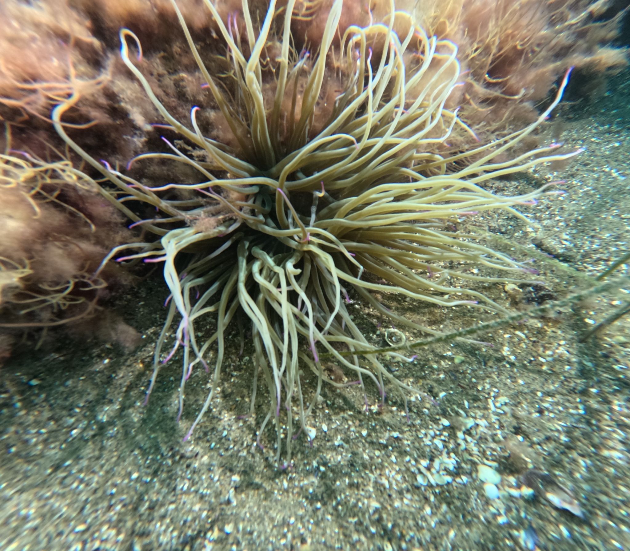 36424 M T Y5 Mm Q1 O T 2