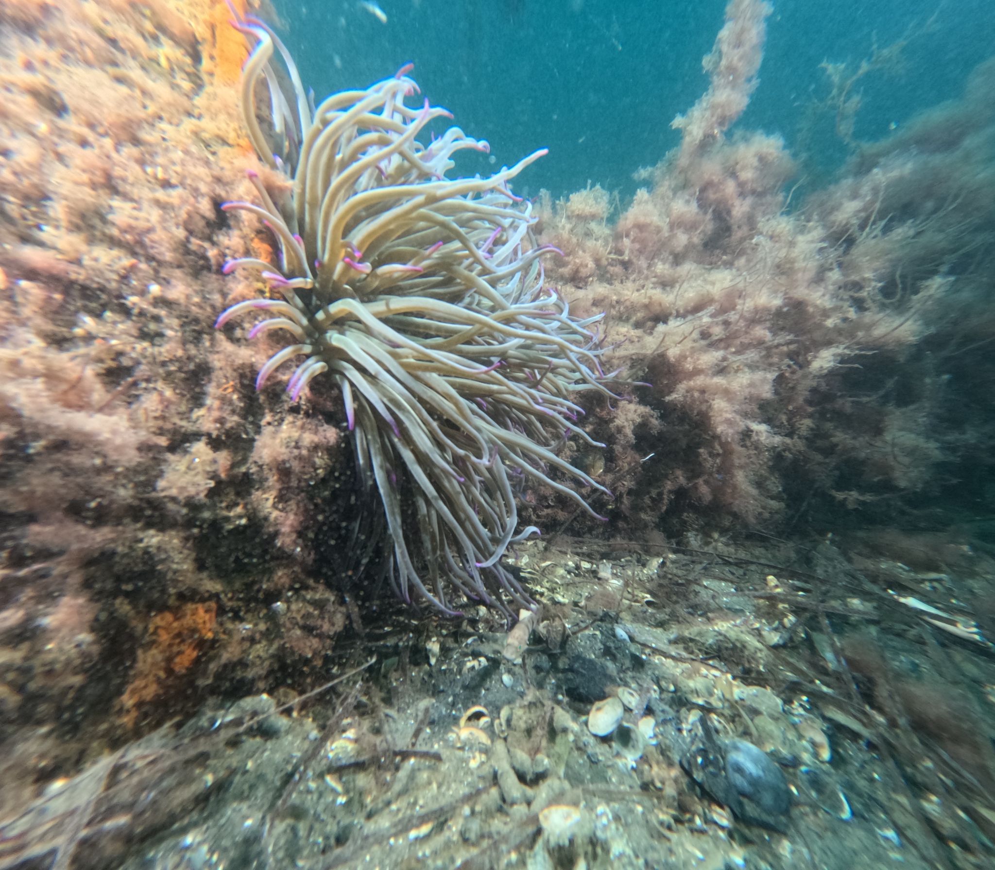 36424 M T Y5 Mm Q1 O T 3