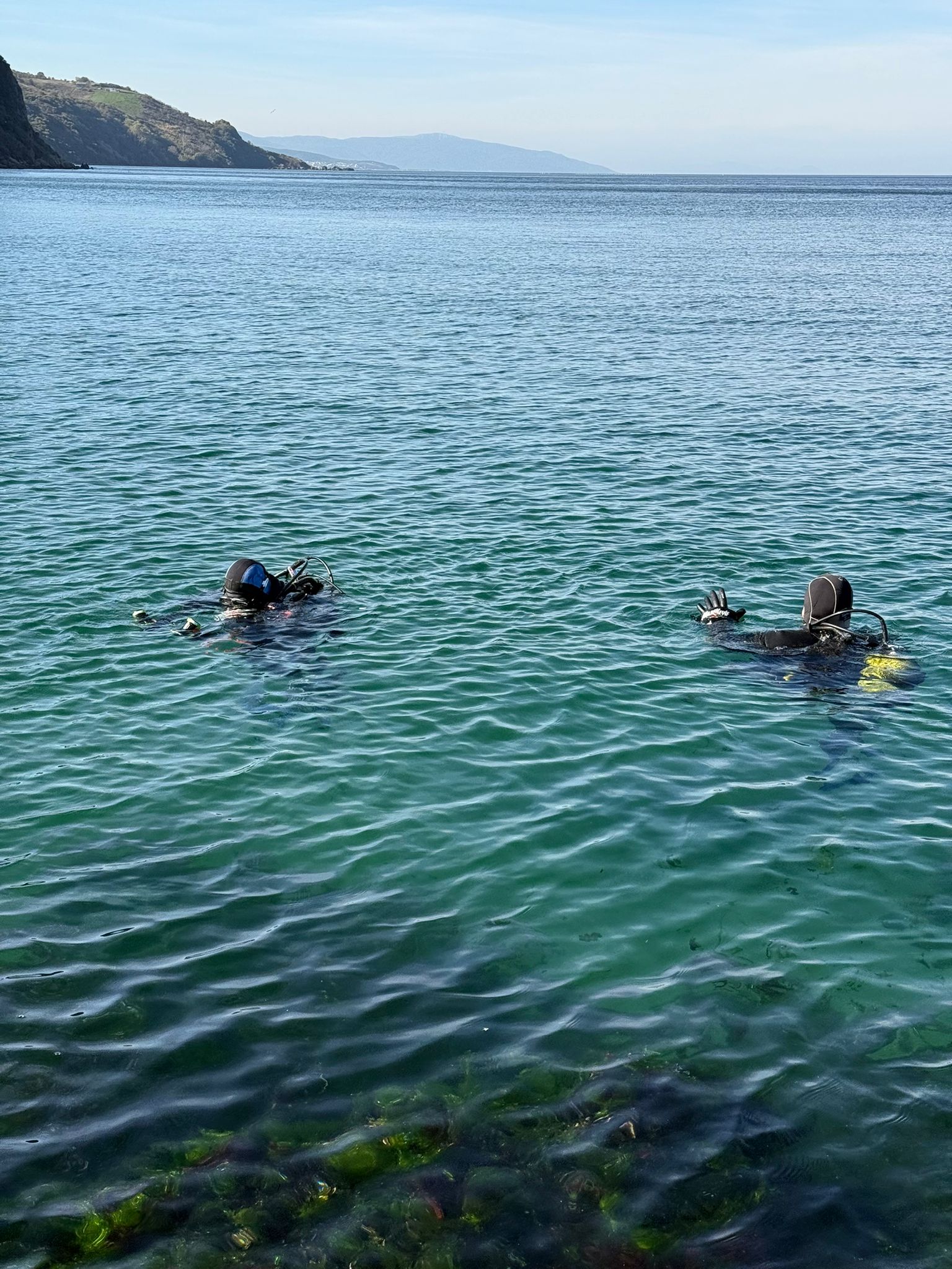 36424 M T Y5 Mm Q1 O T 5