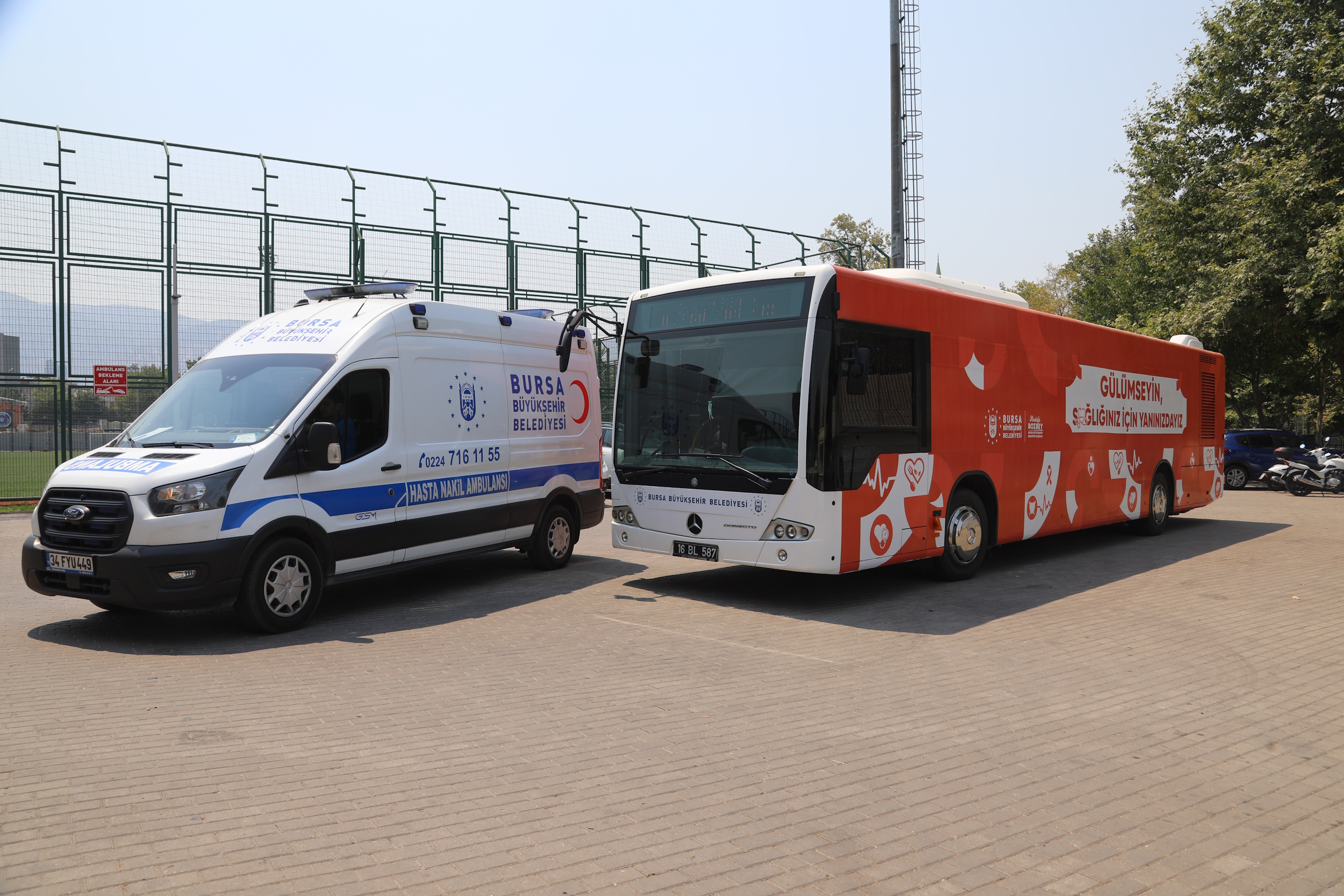 36558 M T Y5 N Tc4 M D