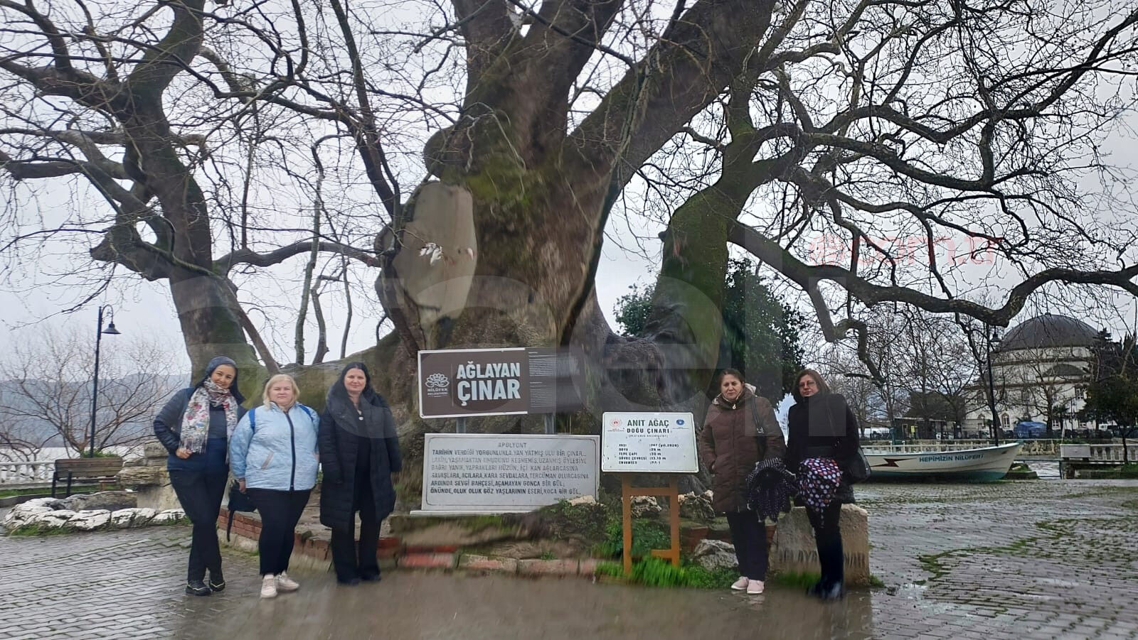 Whatsapp Image 2026 02 23 At 16.43.43 (5)