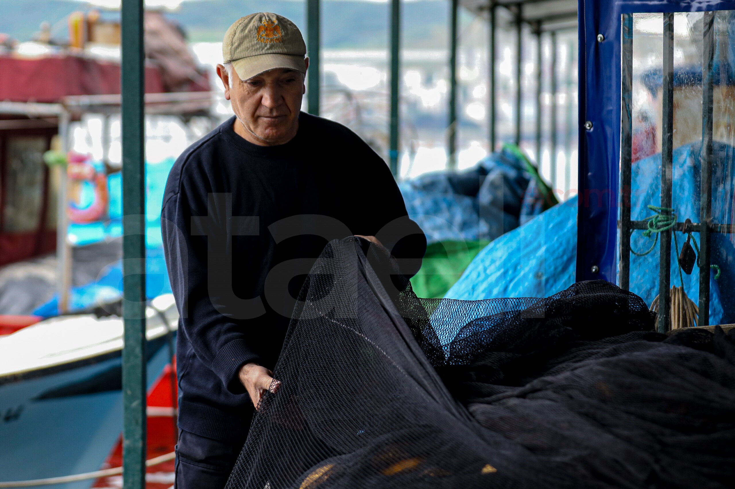 36748 M T Y5 O G Ri Z D 1