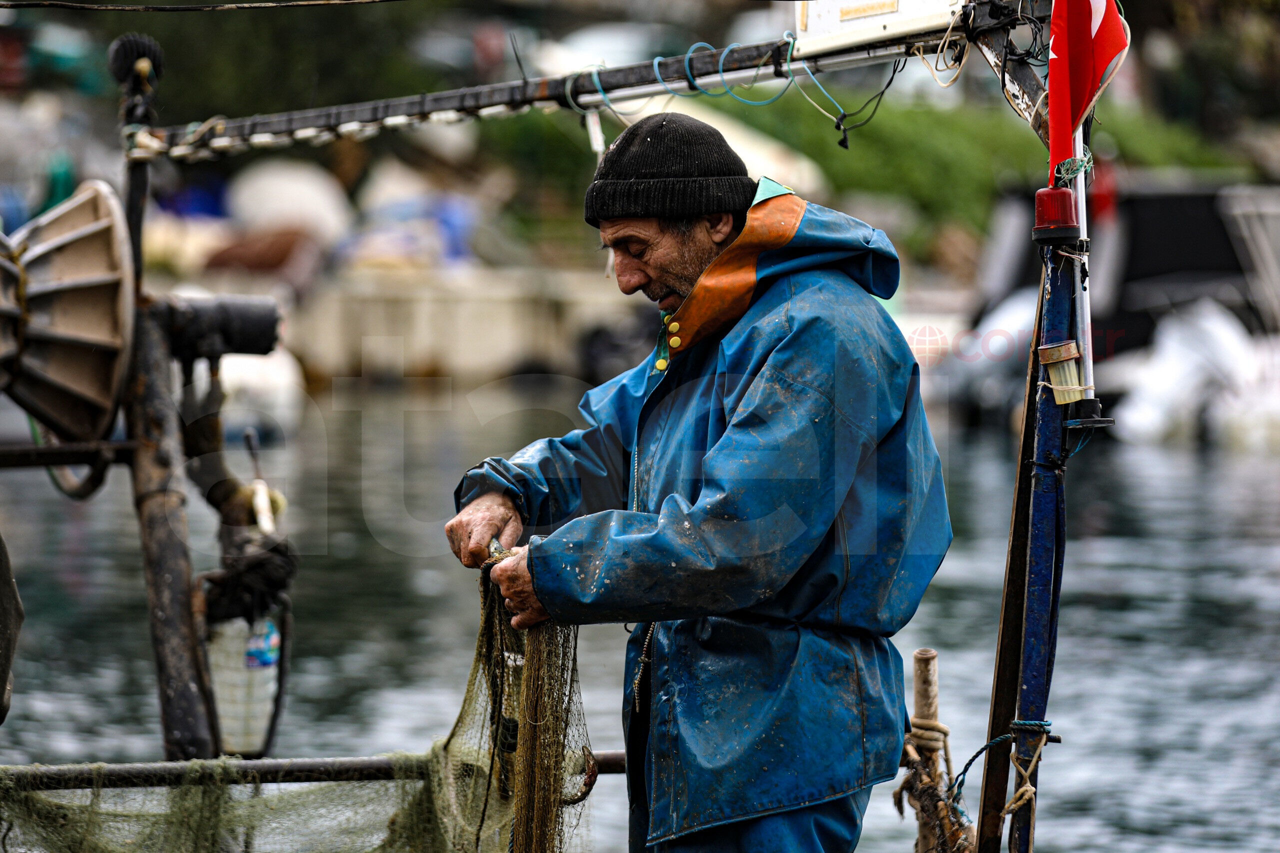 36748 M T Y5 O G Ri Z D 2