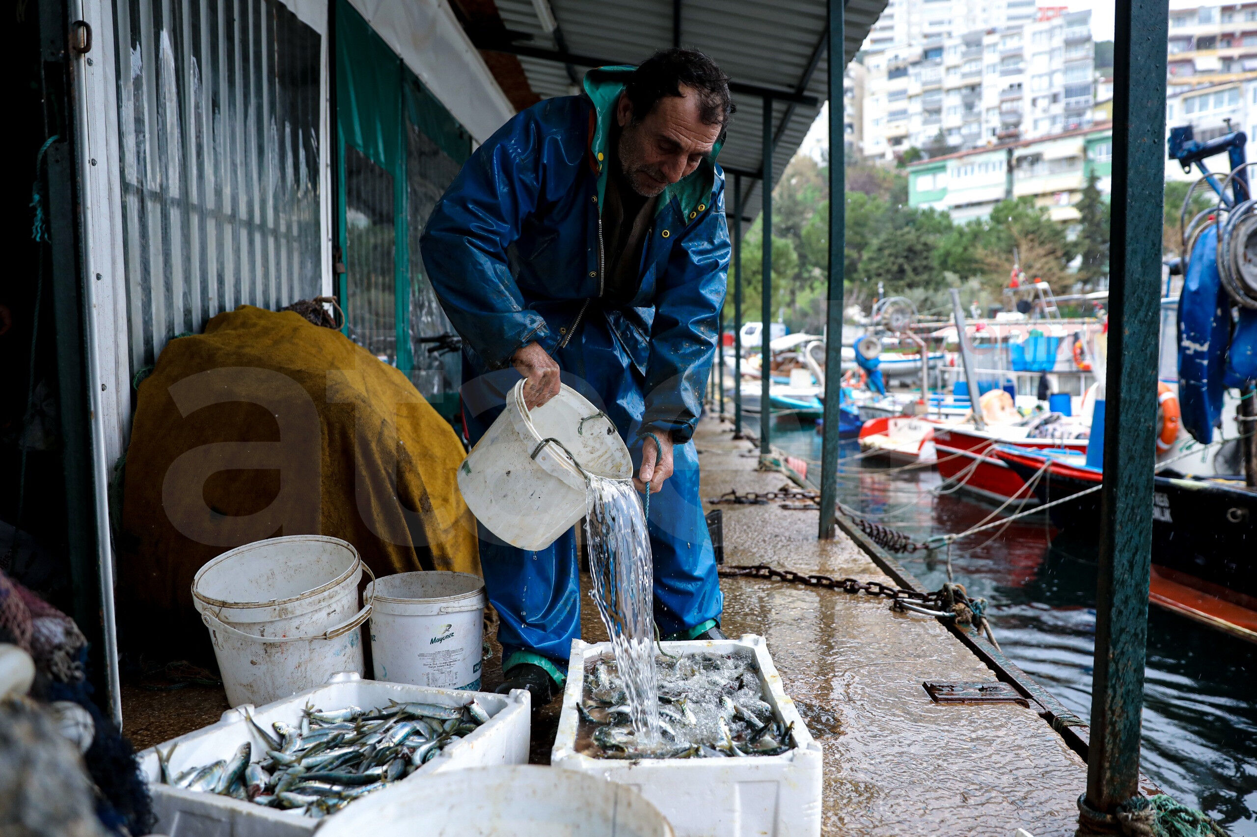 36748 M T Y5 O G Ri Z D 4