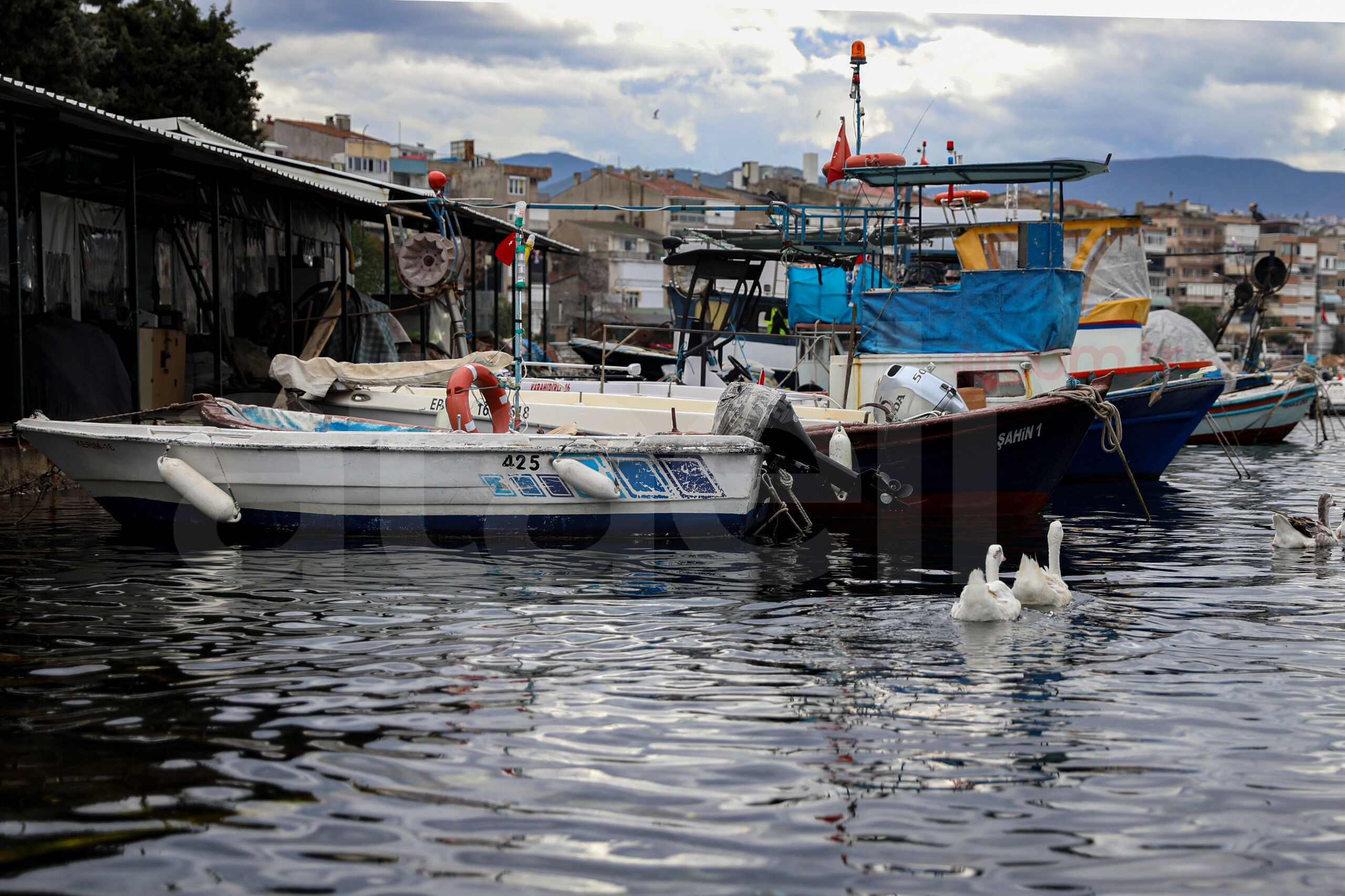 36748 M T Y5 O G Ri Z D