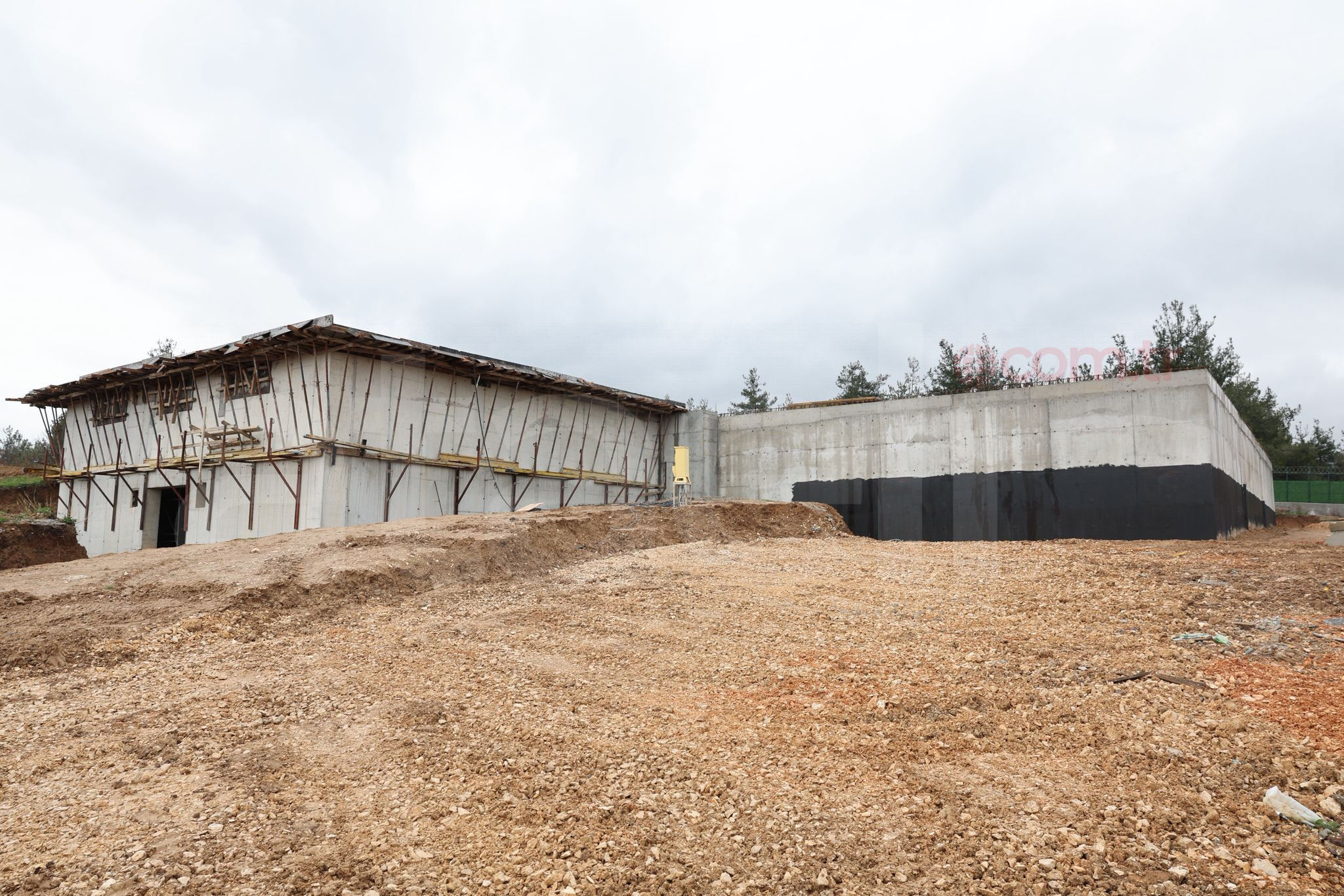 36822 M T Y5 O W Q1 Zj