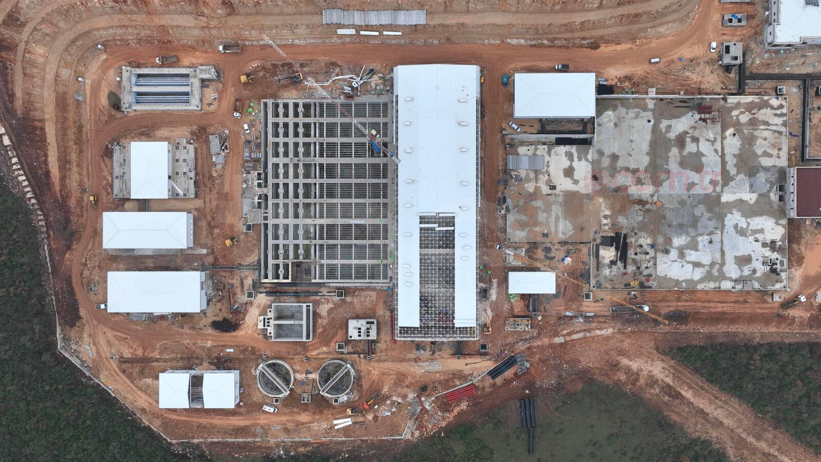 36732 M T Y5 O G Fm N D