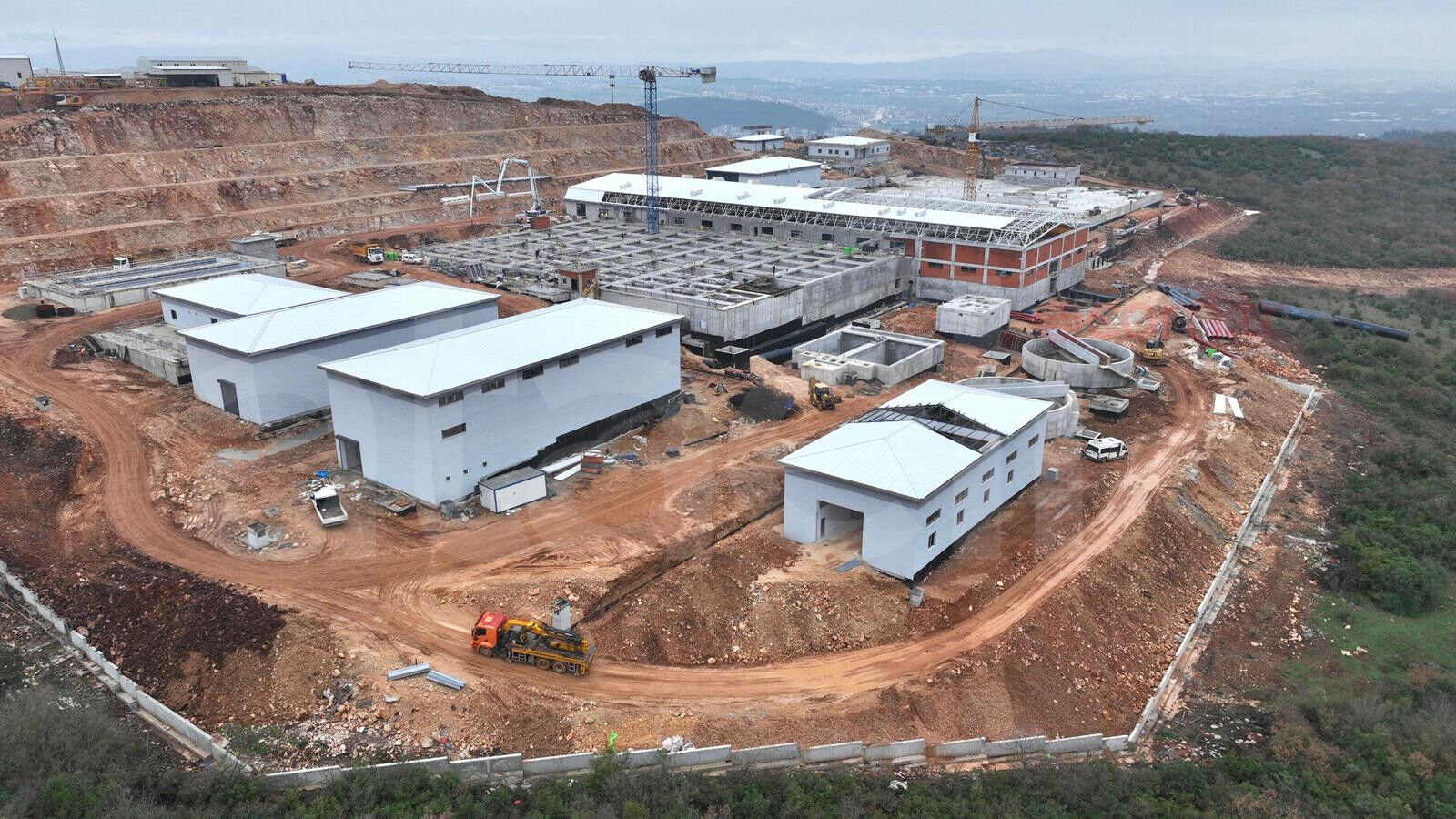 36732 M T Y5 O G Fm Nm