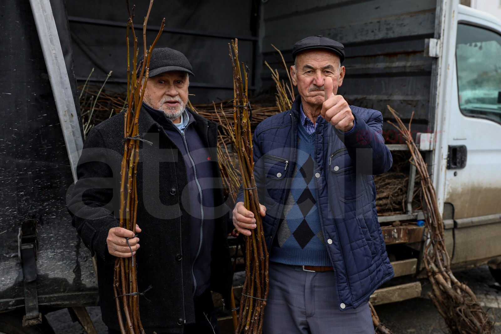 36796 M T Y5 O T Zi Yz 3