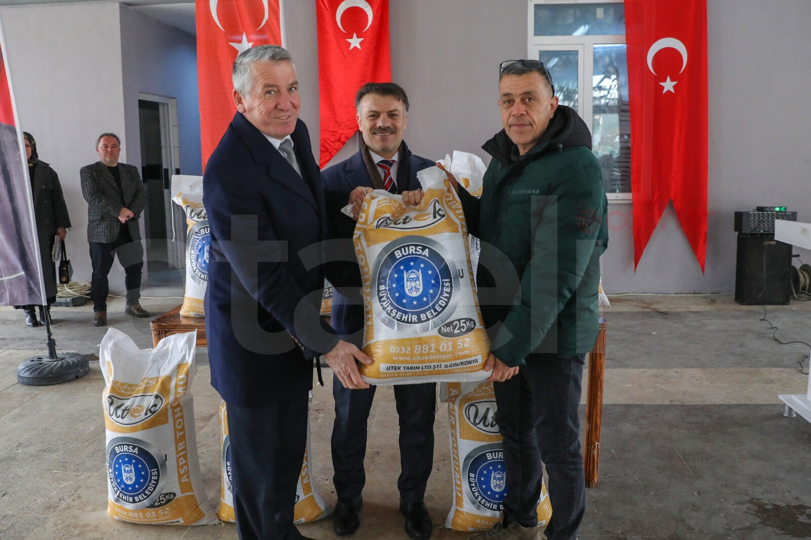 36796 M T Y5 O T Zi Yz