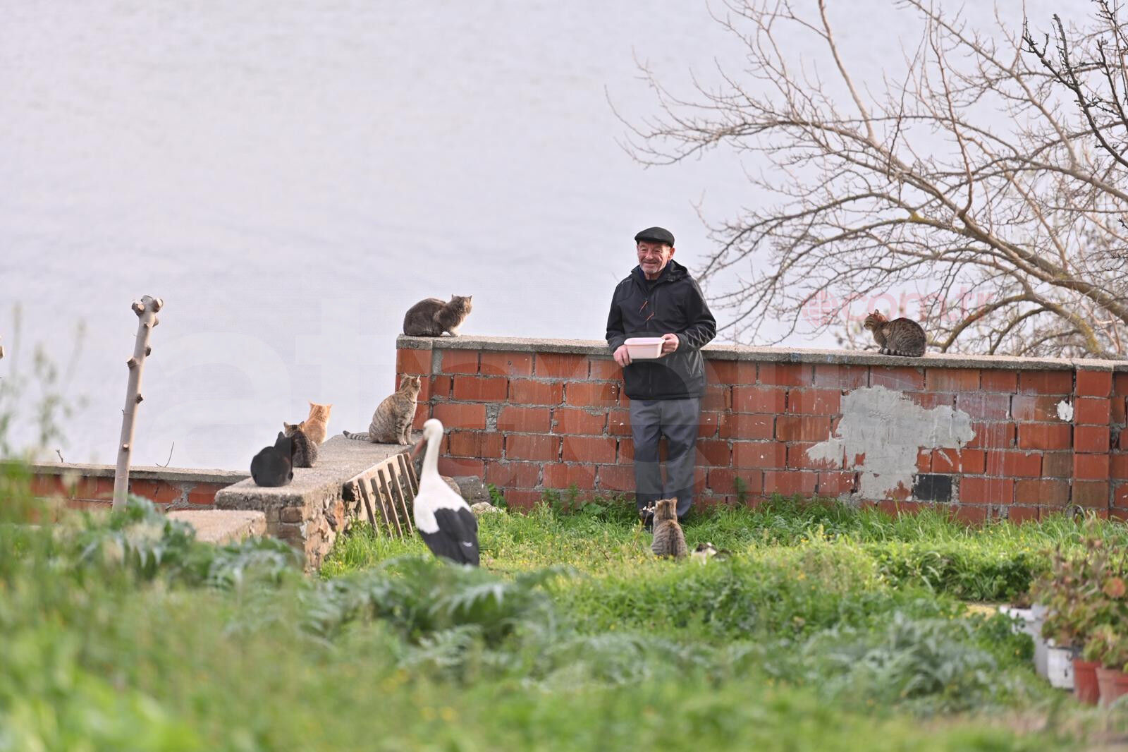 36848 M T Y5 Y T I5 Ym 1