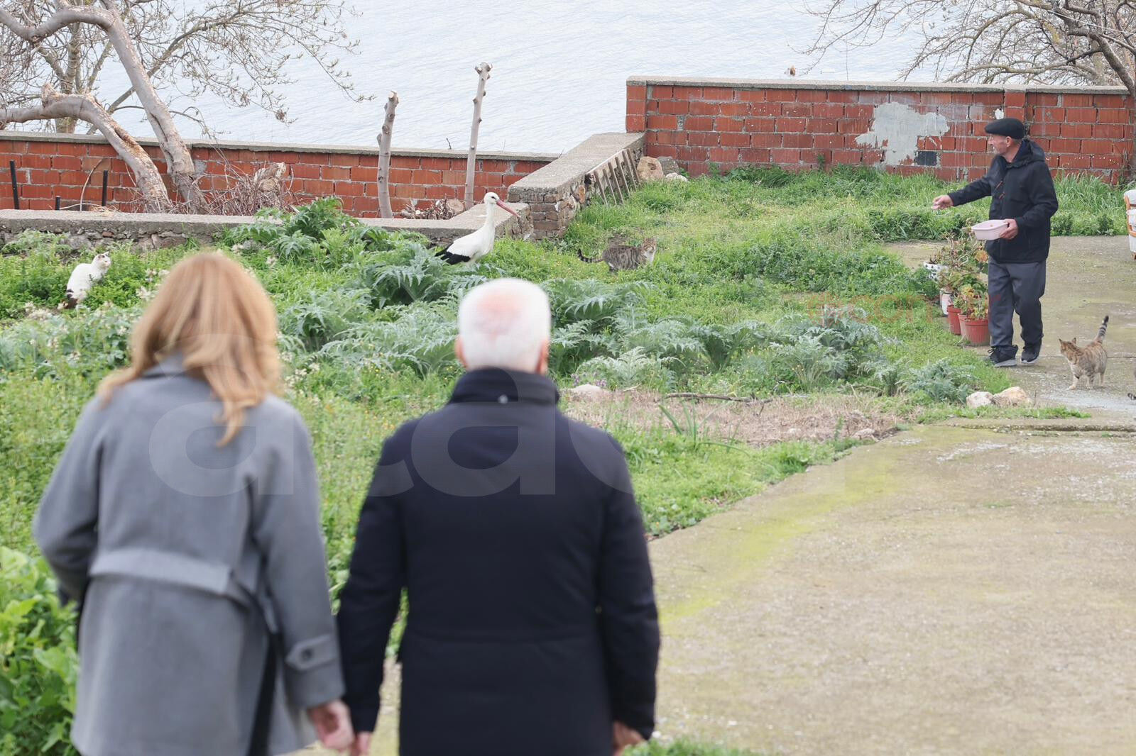 36848 M T Y5 Y T I5 Ym