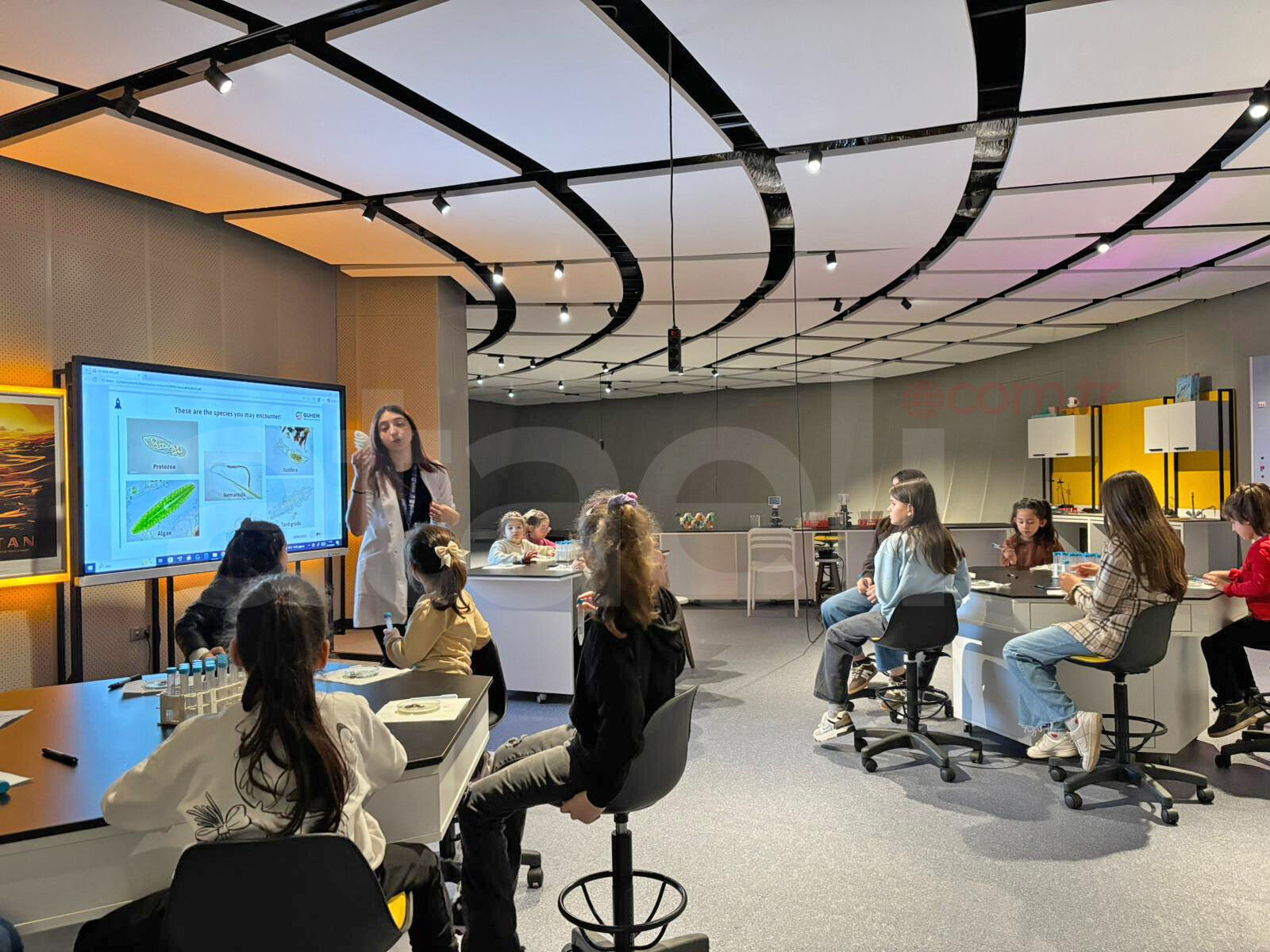 698D822D3E77C567773864