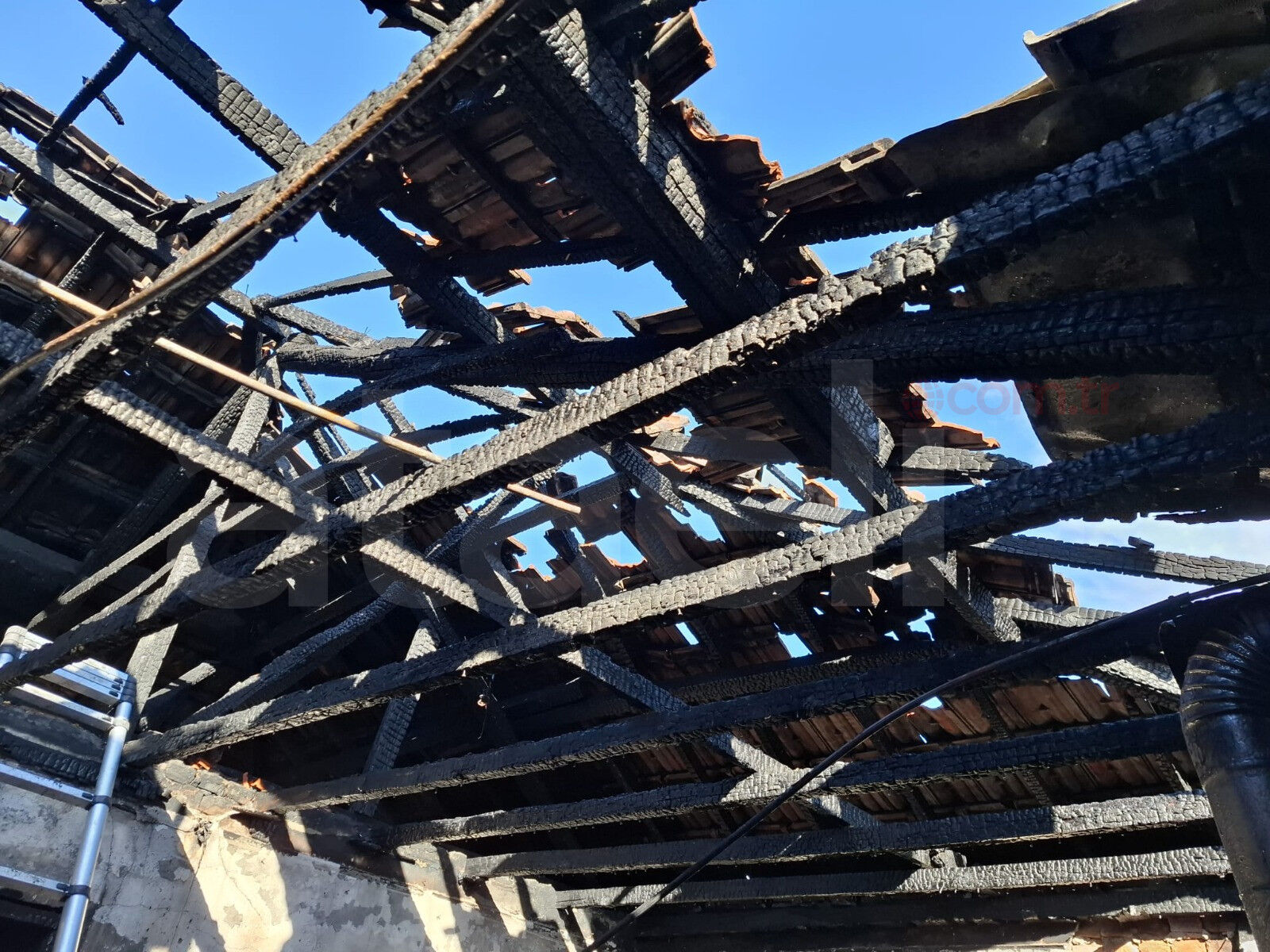 Whatsapp Image 2026 02 20 At 17.12.26 (4)