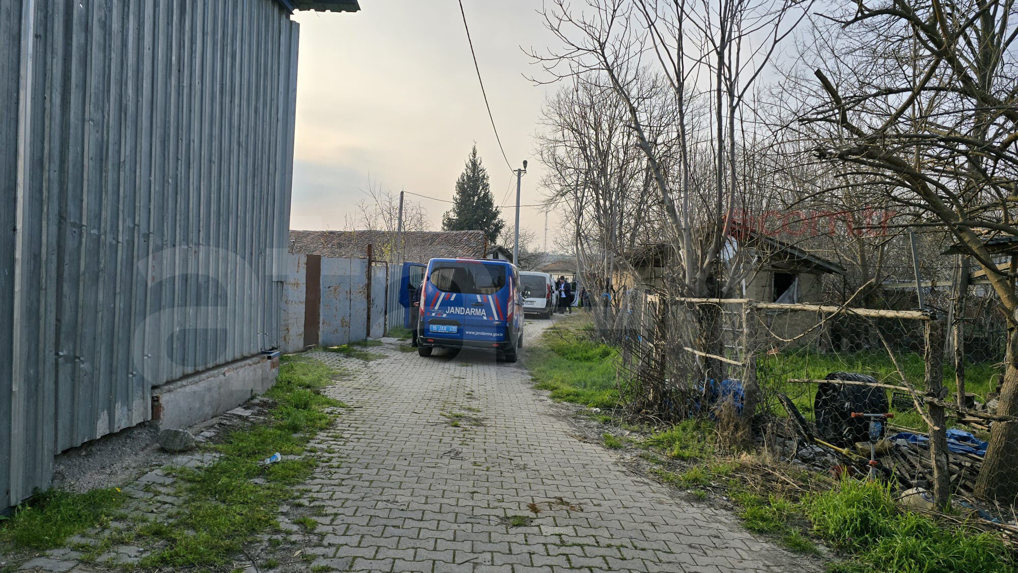 Whatsapp Image 2026 03 13 At 18.06.45-1