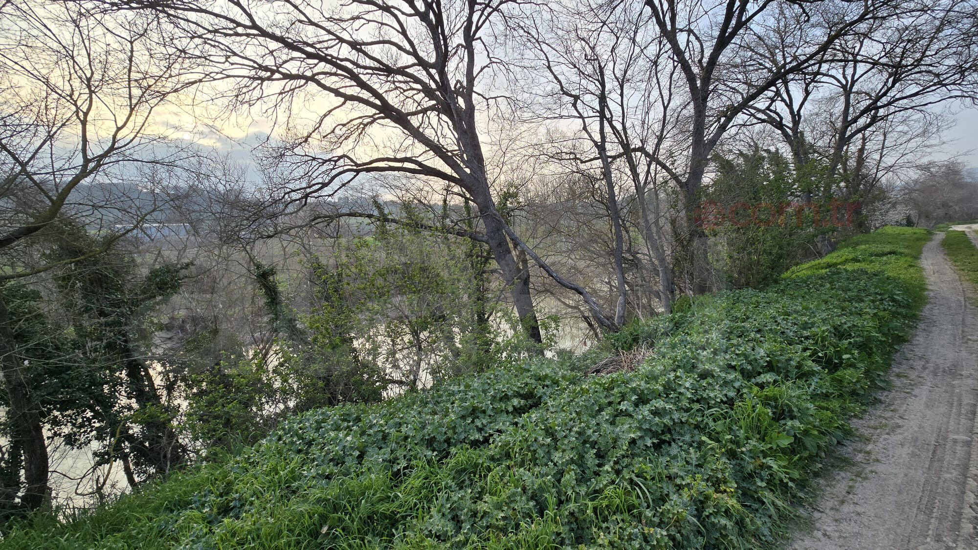 Whatsapp Image 2026 03 13 At 18.06.45 (3)-1