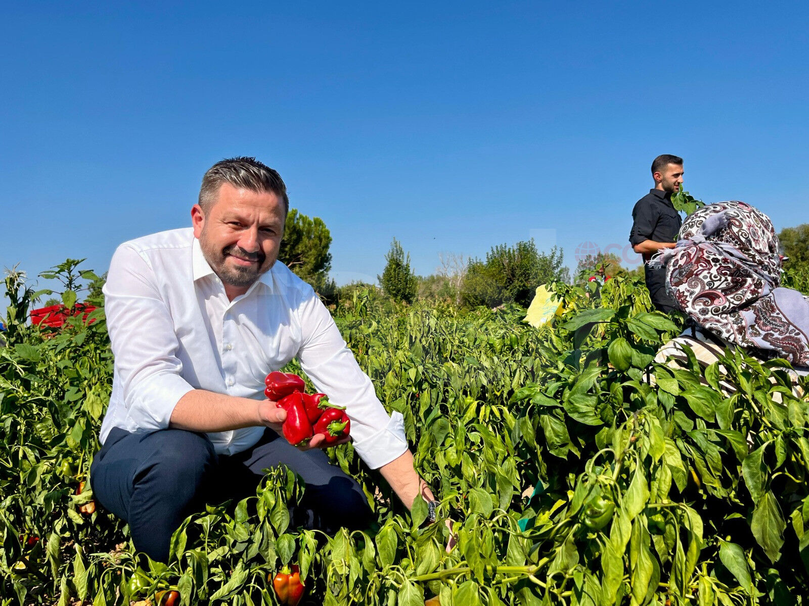 2 Ataeli Tarım Da Bahar Havası Balilesir