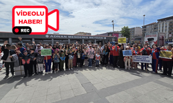 Engelsiz Adımlar, Hep Birlikte Atıldı