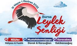 Bursa Leylek Şenliği Başlıyor