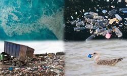 Plastik Kirliliğine Son Ver, Yaşamı Koru!