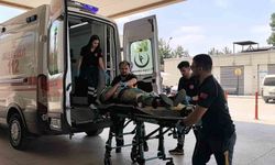 İş Yerinde Talihsiz Olay: Kerestelerin Üzerinden Düşüp Can Verdi