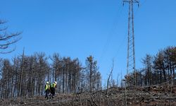 UEDAŞ, Yangın Sonrası Enerji Hattı Yenilemesine Başladı