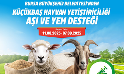 Bursa’da Küçükbaş Hayvancılığa Aşı ve Yem Desteği Başladı