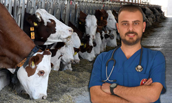 Veteriner Hekim Burak Gökmen’den Sert Çıkış: “Bu Kadar Üç Maymun Oynanmaz!”