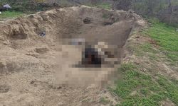 Mustafakemalpaşa’da Sağlıksız Görüntüye Vatandaş Tepkili