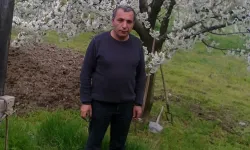 Ağaç Budama Kazası Can Aldı