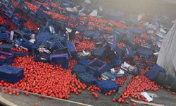 Balıkesir-Bursa Yolunda Domates Yüklü Tır Yan Yattı